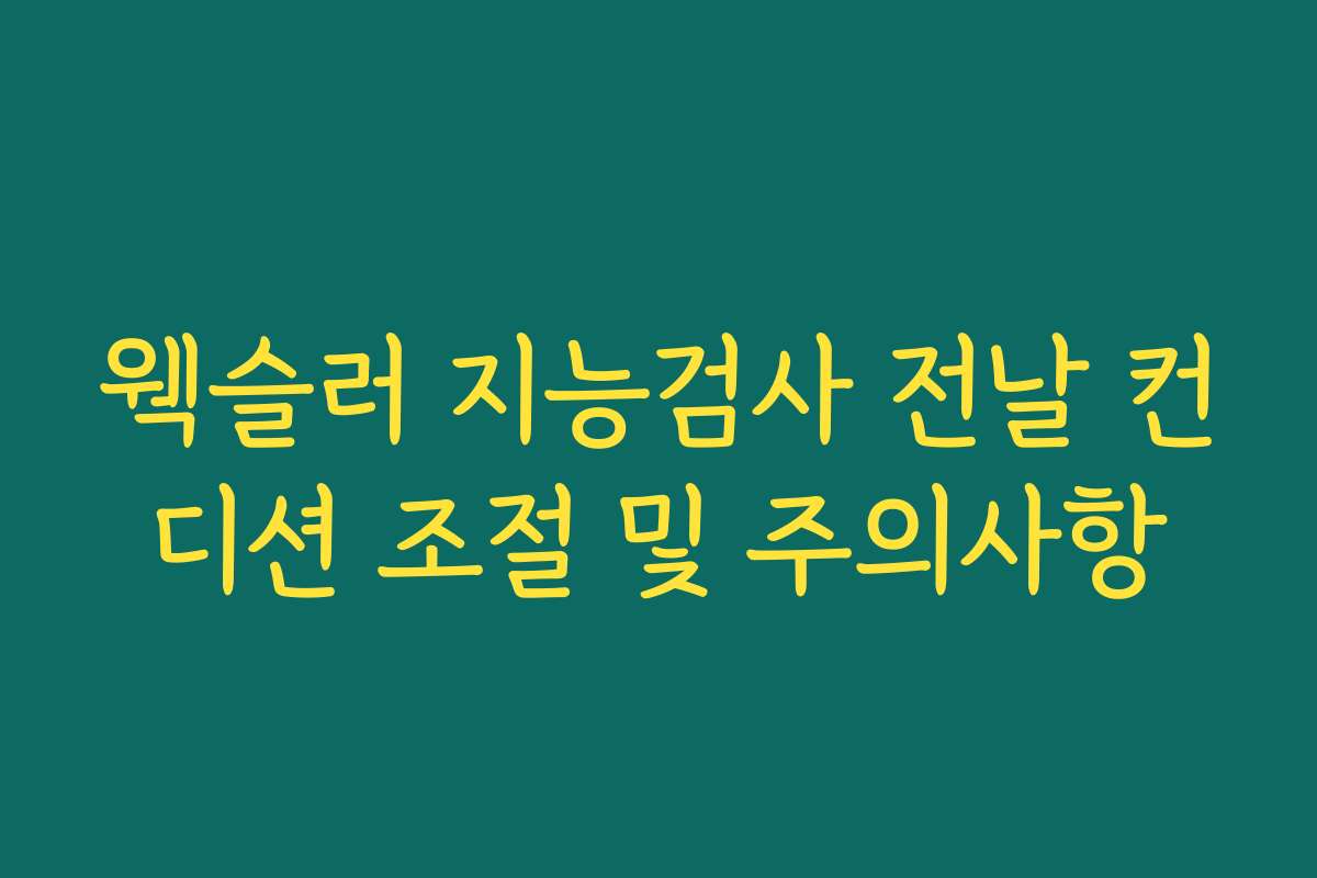 웩슬러 지능검사 전날 컨디션 조절 및 주의사항