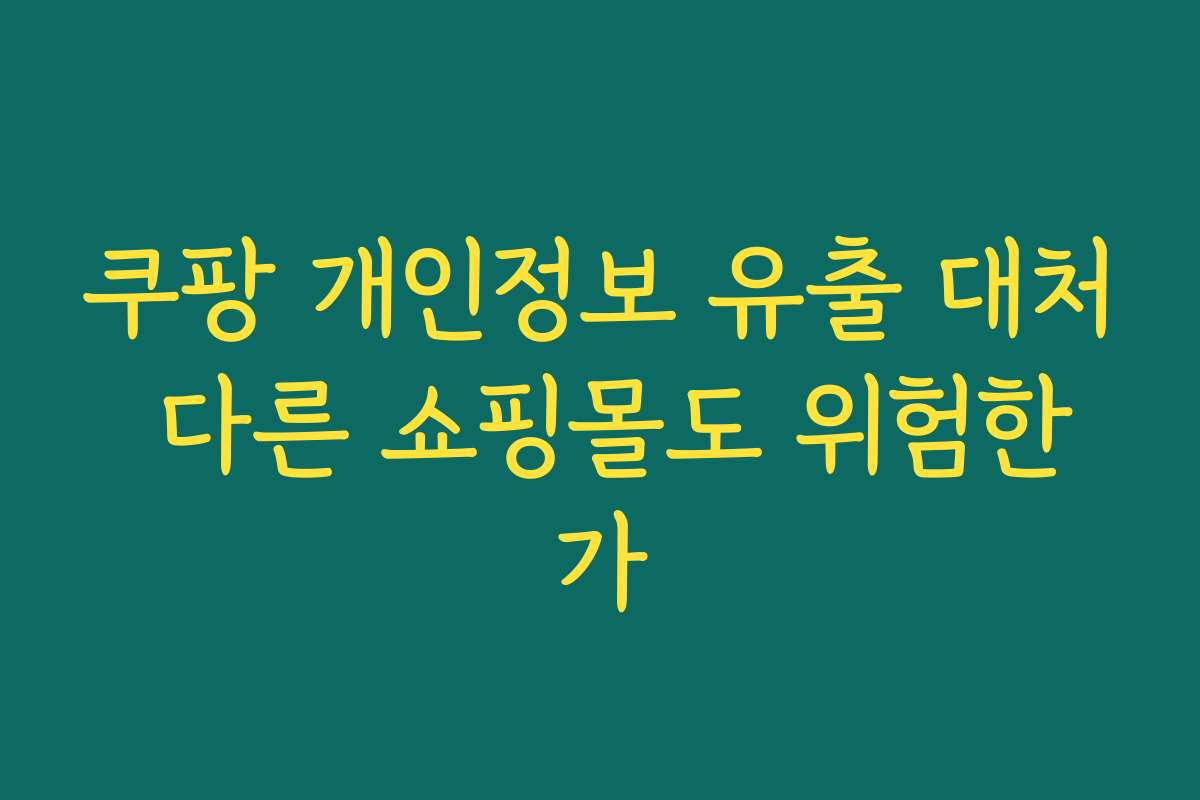 쿠팡 개인정보 유출 대처 다른 쇼핑몰도 위험한가
