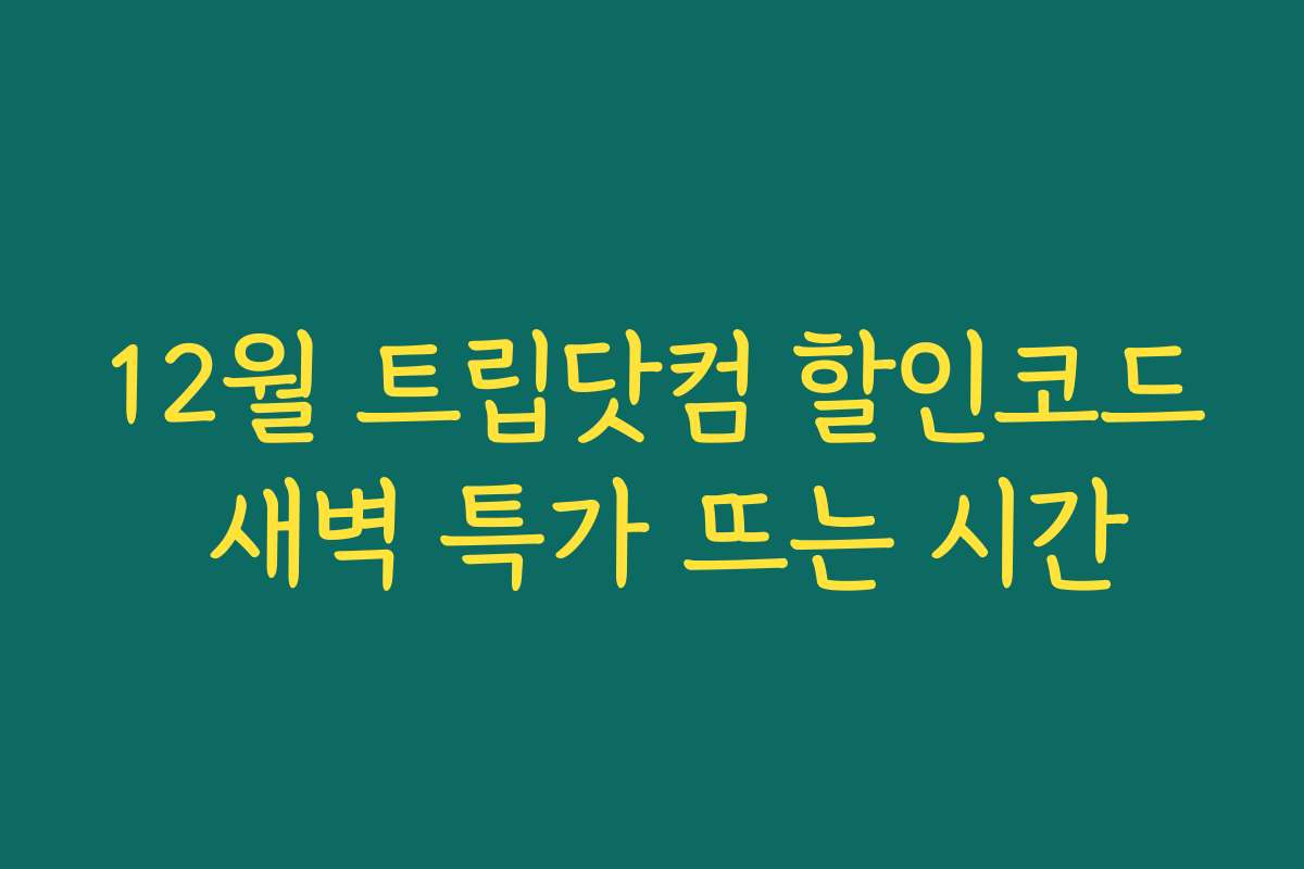 12월 트립닷컴 할인코드 새벽 특가 뜨는 시간