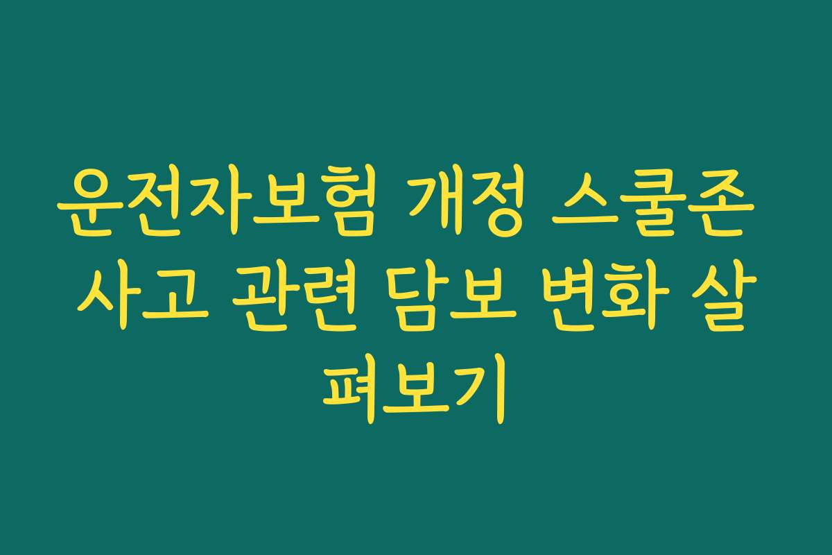 운전자보험 개정 스쿨존 사고 관련 담보 변화 살펴보기