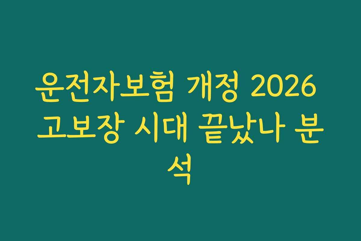운전자보험 개정 2026 고보장 시대 끝났나 분석