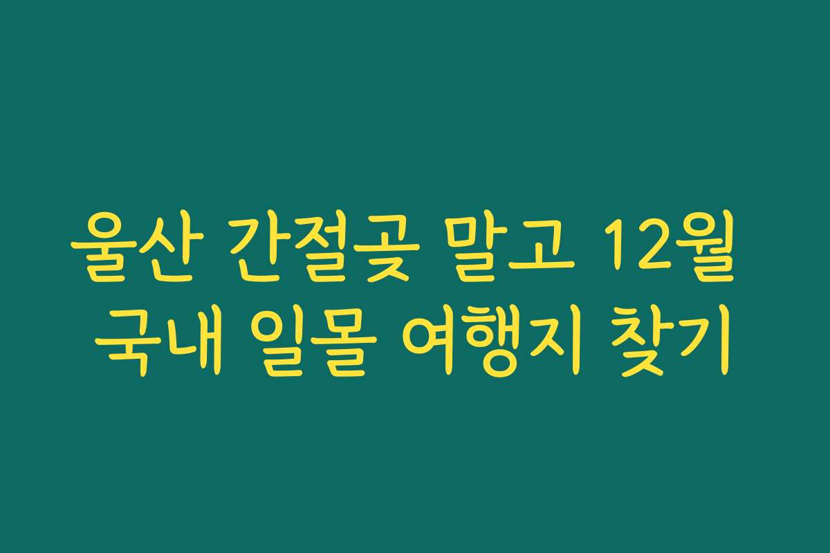 울산 간절곶 말고 12월 국내 일몰 여행지 찾기