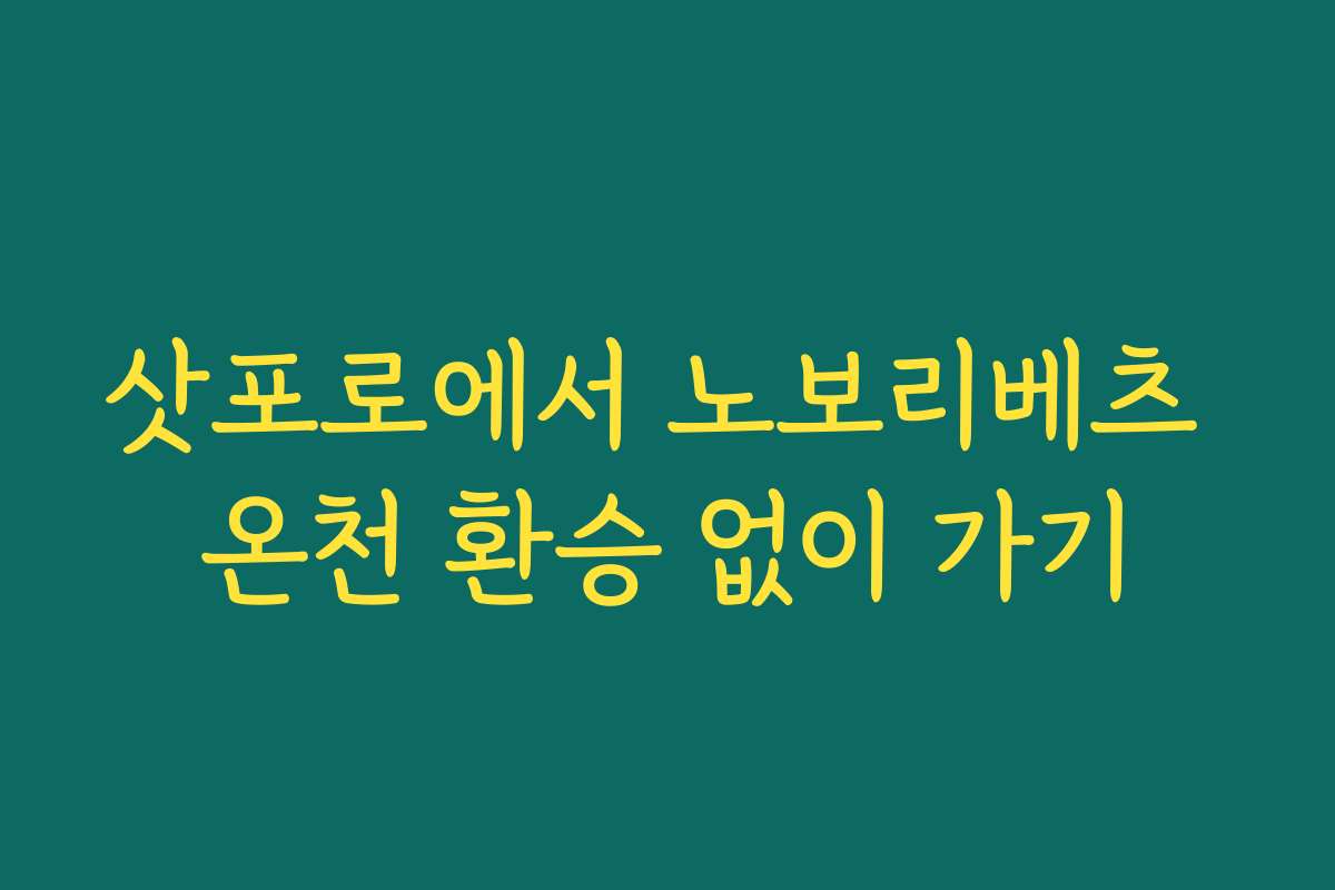 삿포로에서 노보리베츠 온천 환승 없이 가기