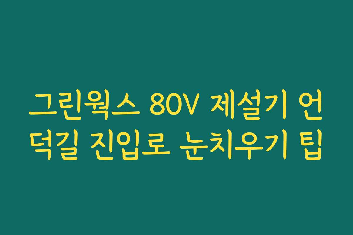 그린웍스 80V 제설기 언덕길 진입로 눈치우기 팁