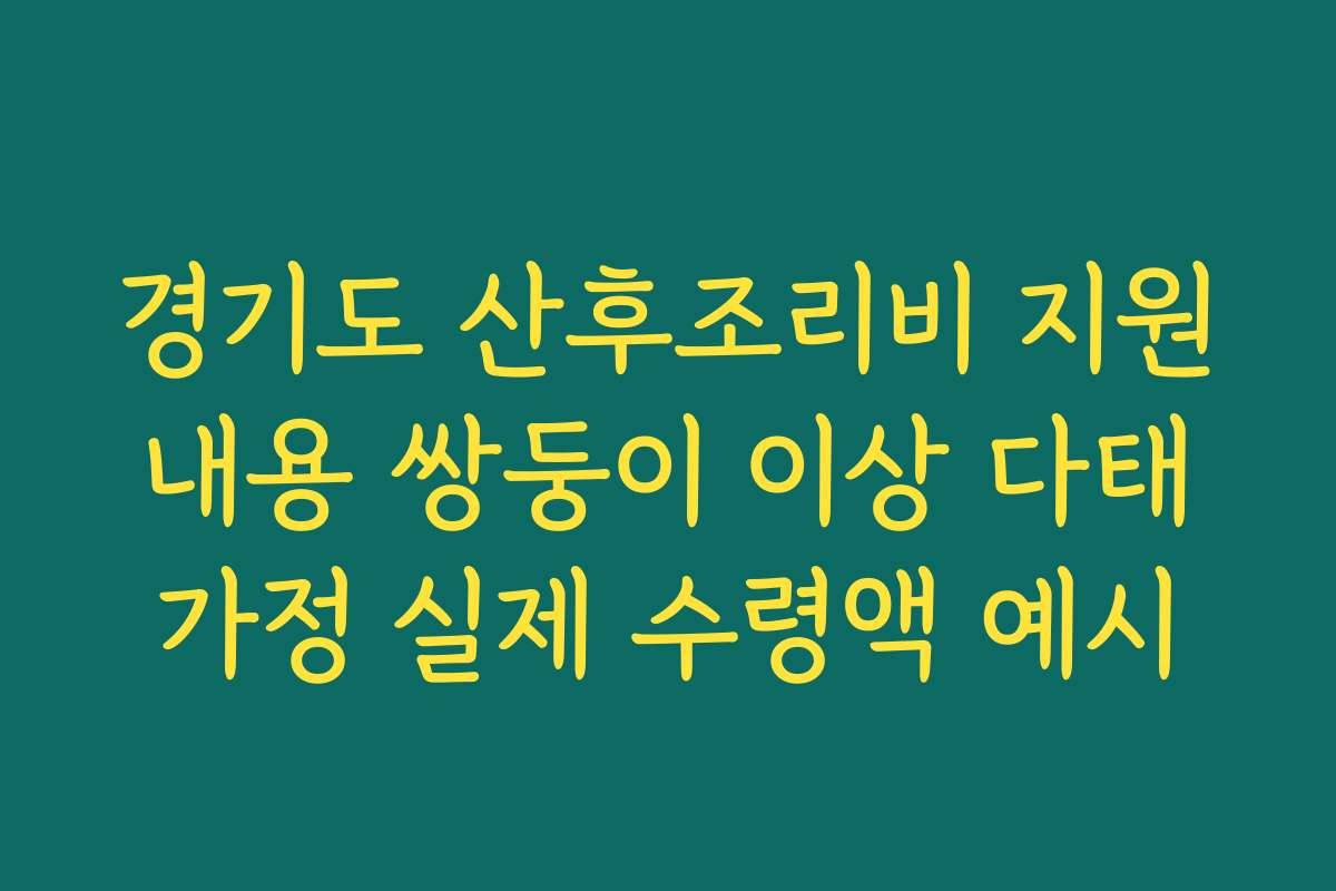 경기도 산후조리비 지원내용 쌍둥이 이상 다태가정 실제 수령액 예시