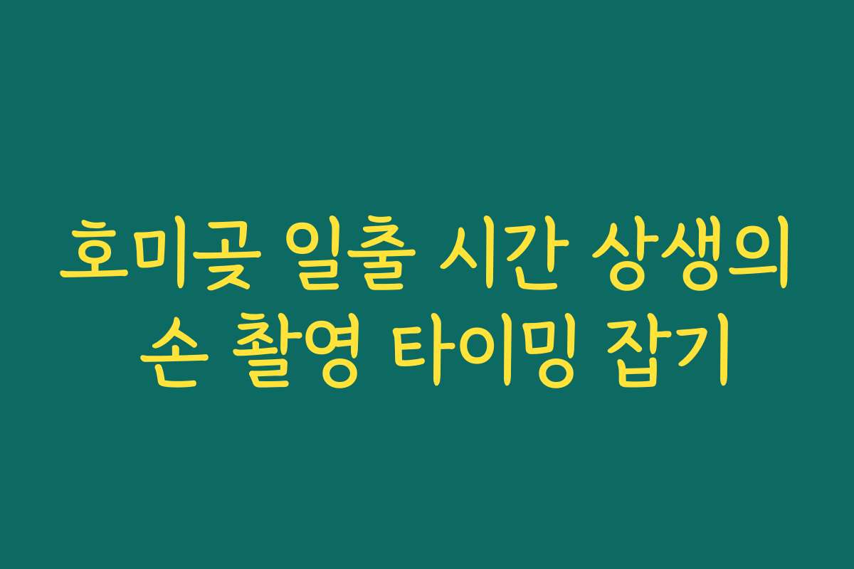 호미곶 일출 시간 상생의 손 촬영 타이밍 잡기