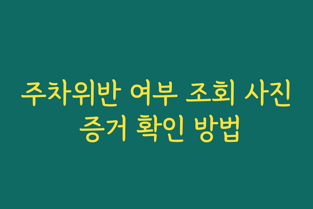 주차위반 여부 조회 사진 증거 확인 방법