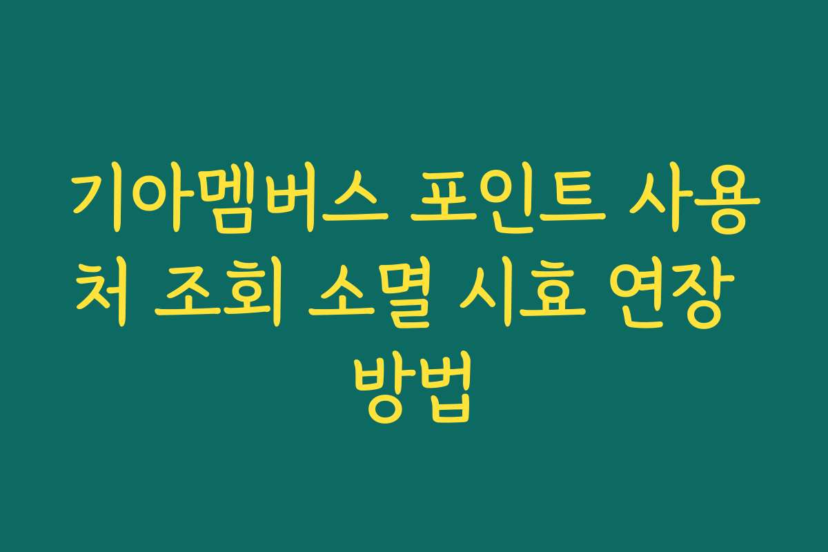 기아멤버스 포인트 사용처 조회 소멸 시효 연장 방법