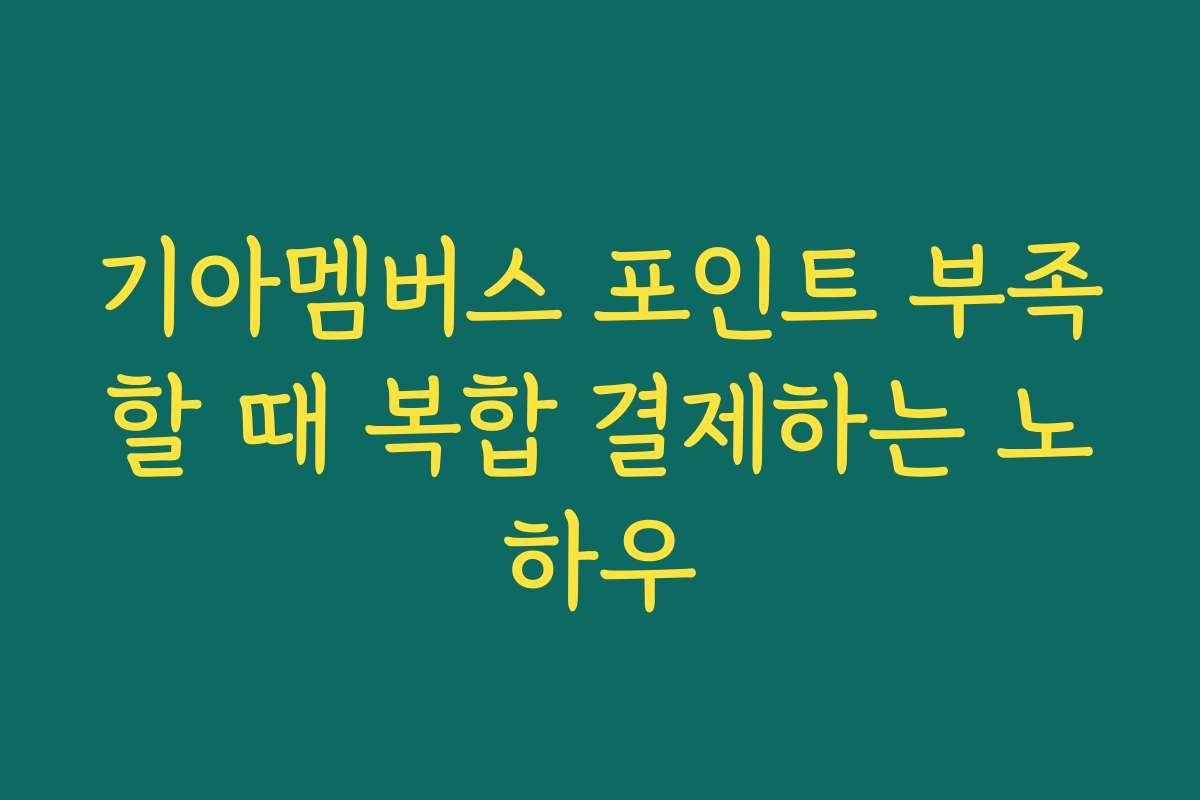 기아멤버스 포인트 부족할 때 복합 결제하는 노하우