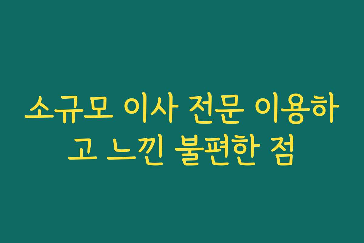 소규모 이사 전문 이용하고 느낀 불편한 점