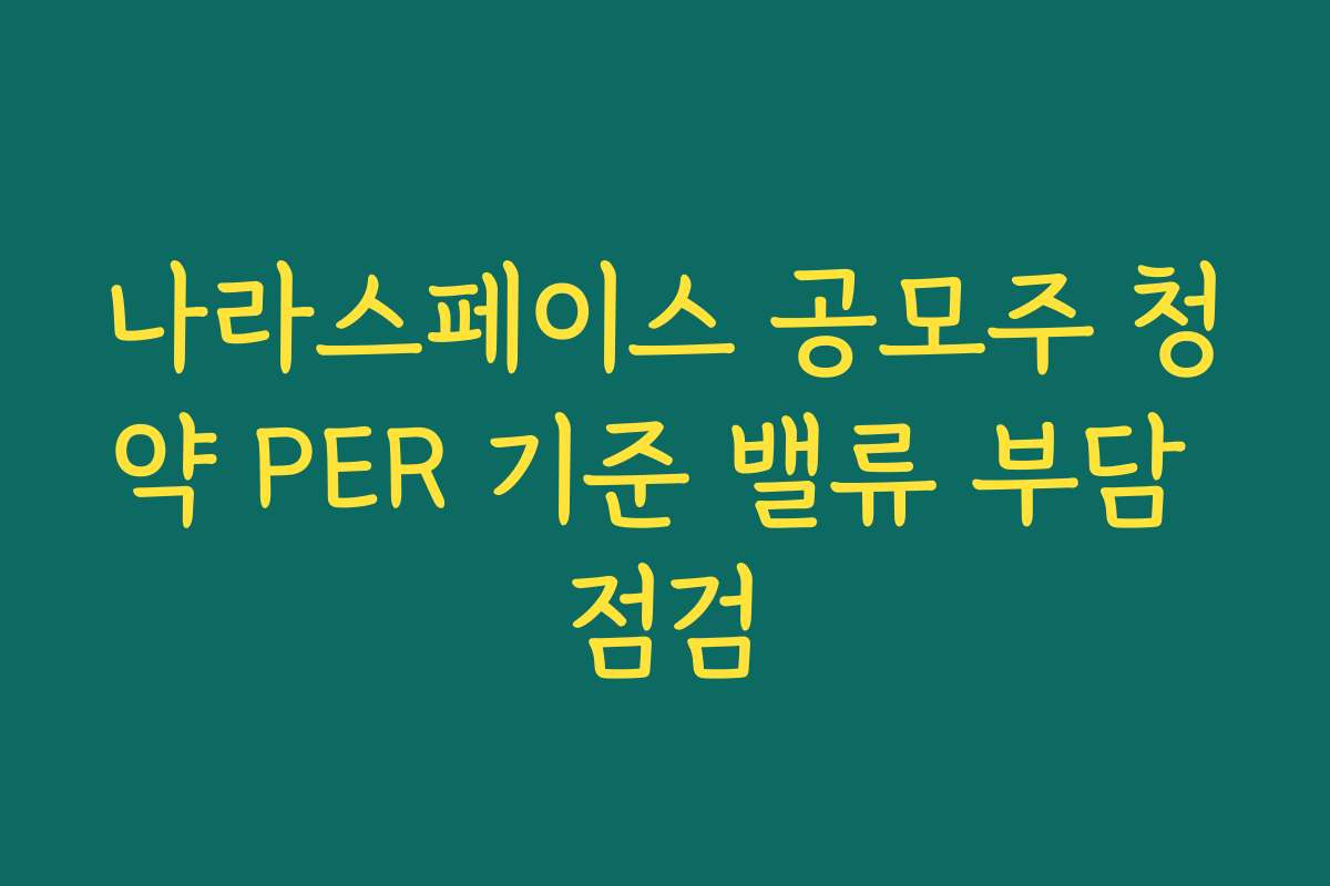 나라스페이스 공모주 청약 PER 기준 밸류 부담 점검