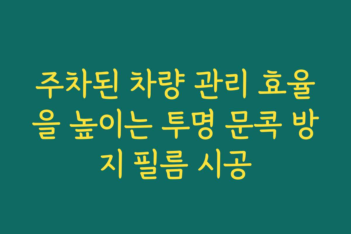 주차된 차량 관리 효율을 높이는 투명 문콕 방지 필름 시공
