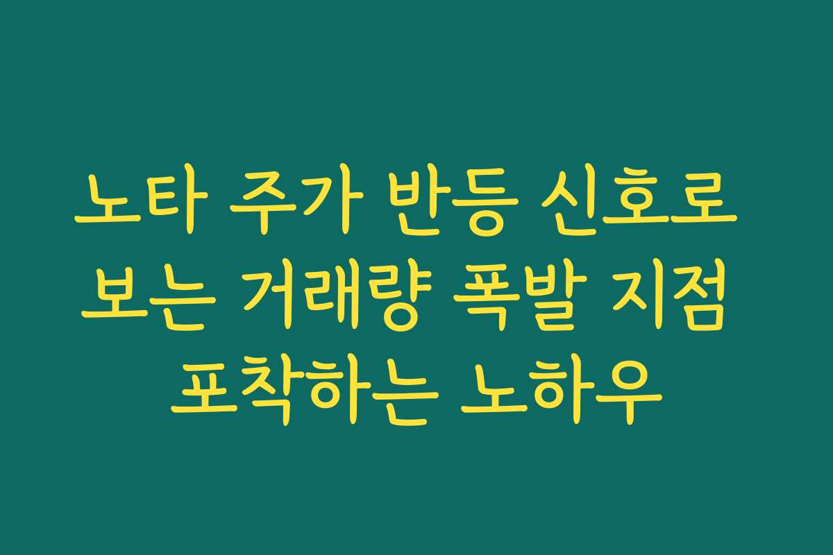 노타 주가 반등 신호로 보는 거래량 폭발 지점 포착하는 노하우