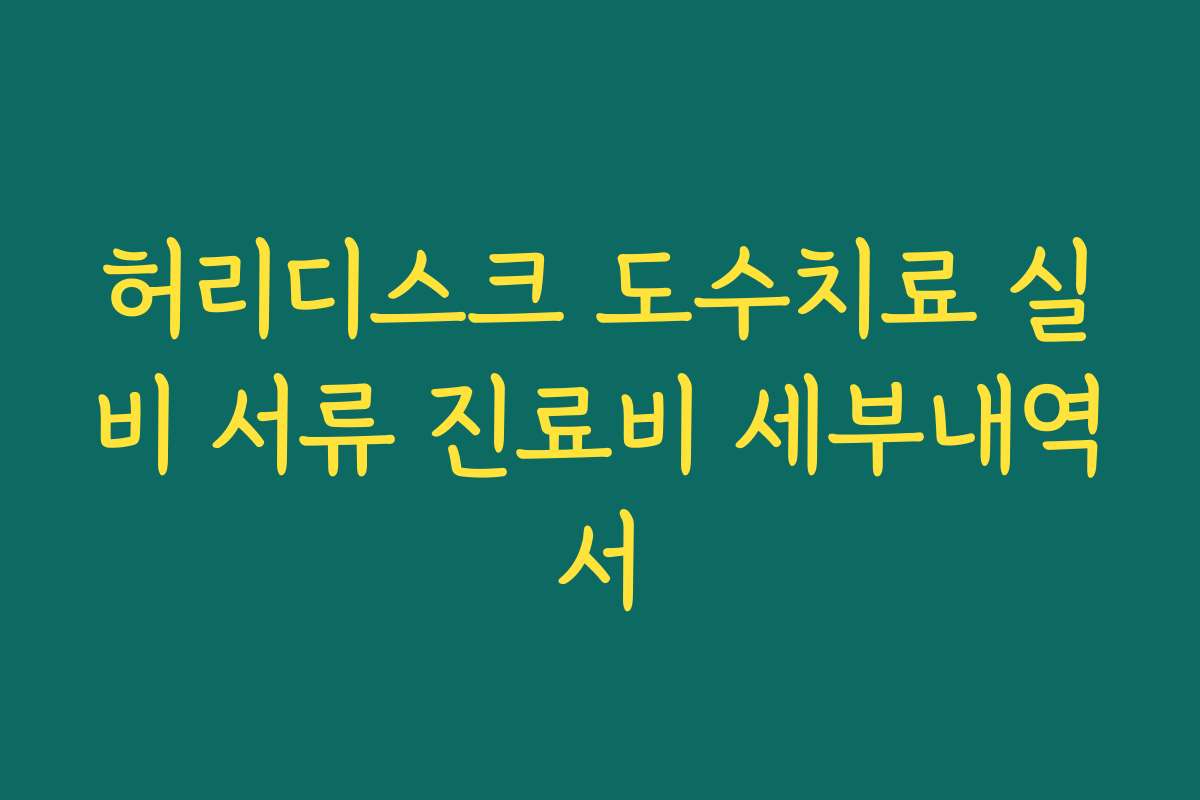 허리디스크 도수치료 실비 서류 진료비 세부내역서