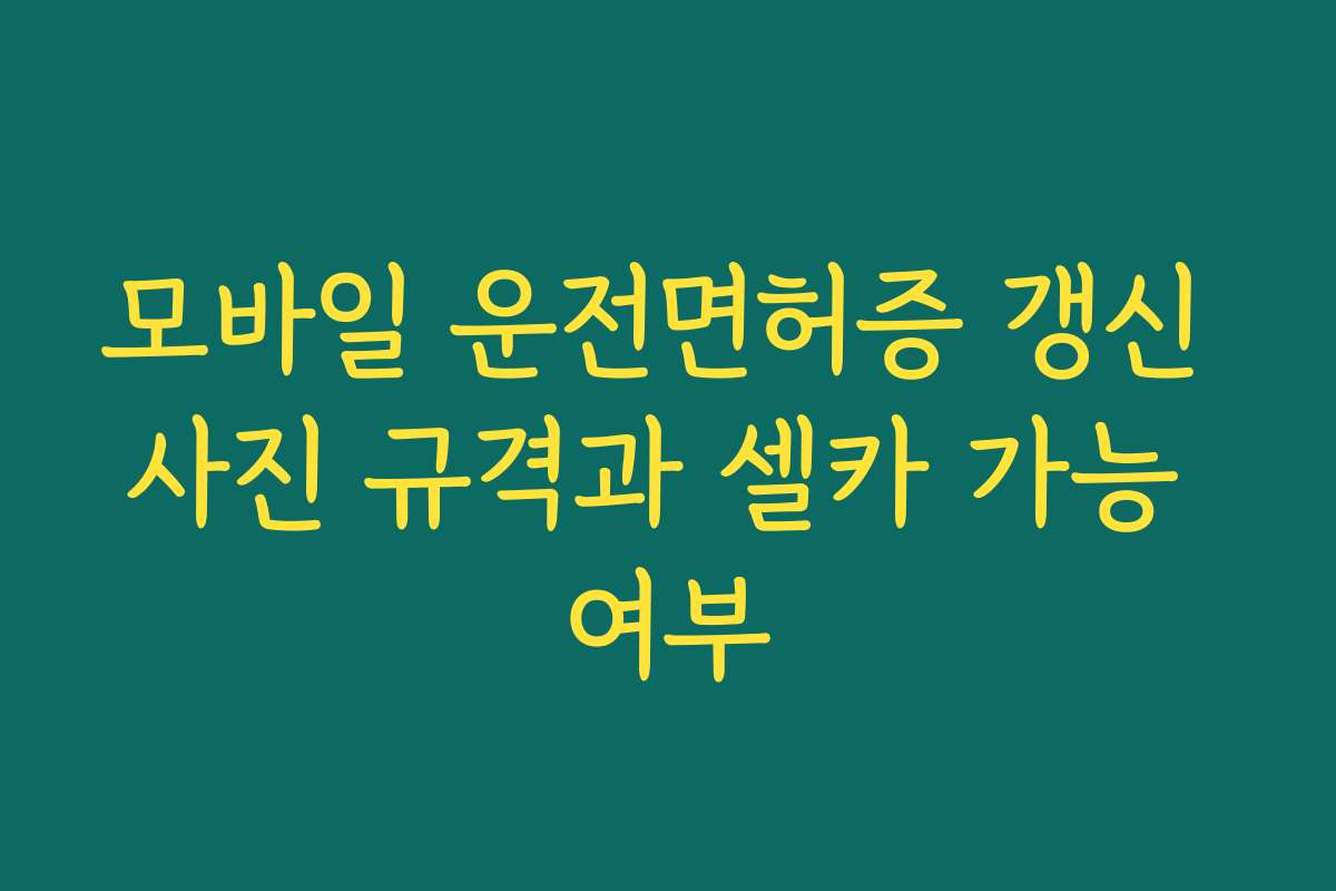 모바일 운전면허증 갱신 사진 규격과 셀카 가능 여부