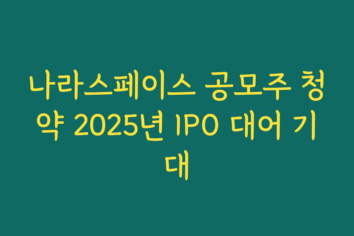 나라스페이스 공모주 청약 2025년 IPO 대어 기대