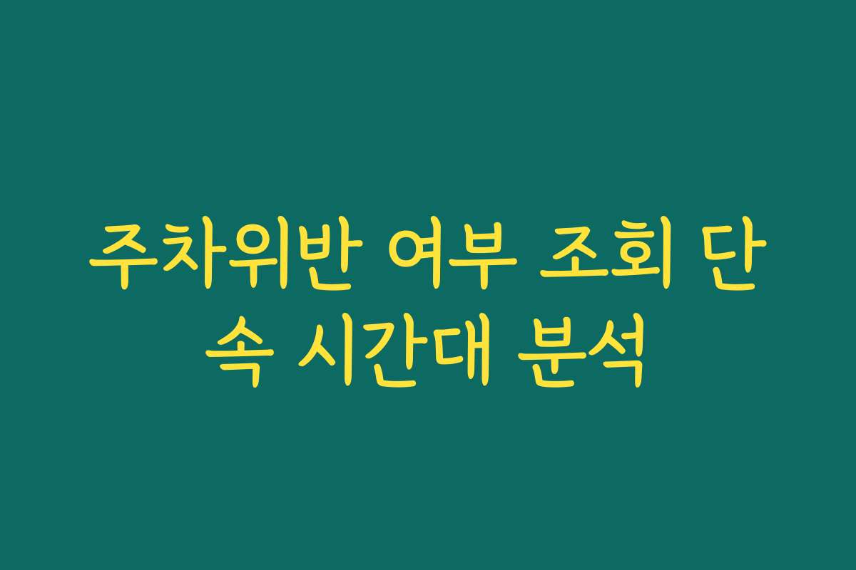 주차위반 여부 조회 단속 시간대 분석