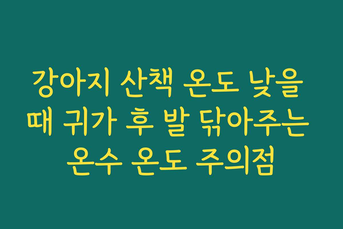 강아지 산책 온도 낮을 때 귀가 후 발 닦아주는 온수 온도 주의점