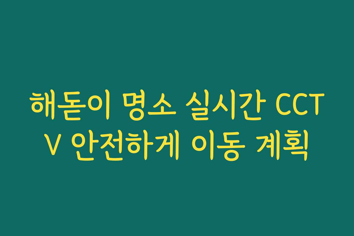해돋이 명소 실시간 CCTV 안전하게 이동 계획