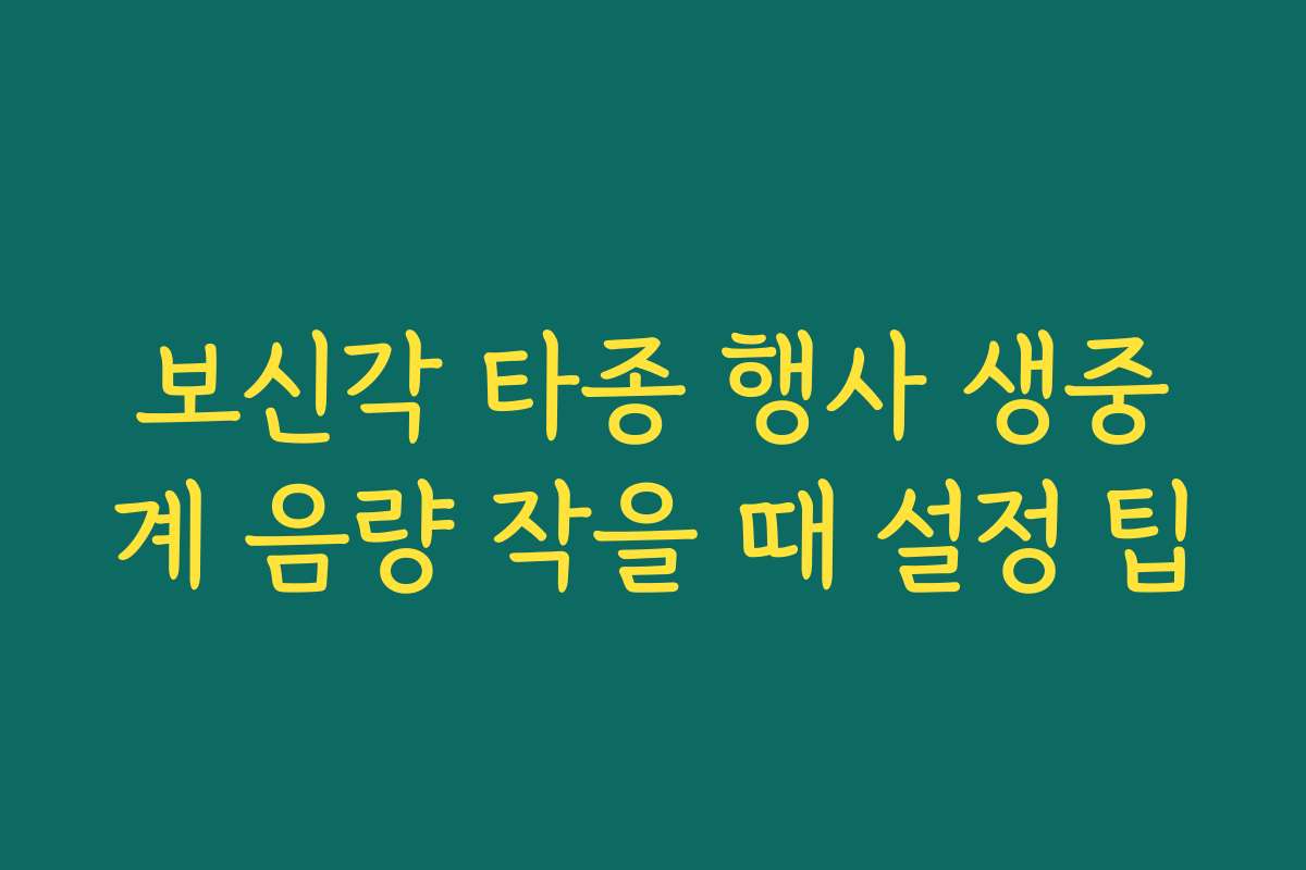 보신각 타종 행사 생중계 음량 작을 때 설정 팁