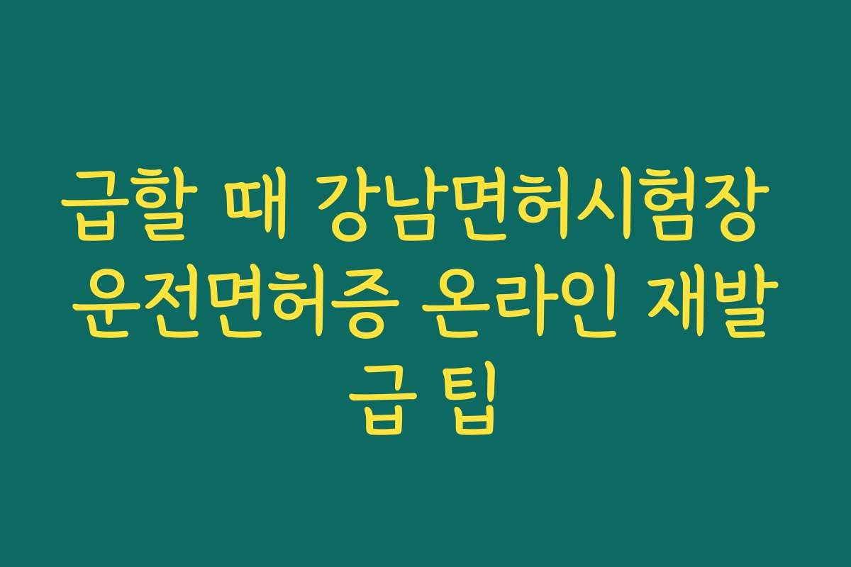 급할 때 강남면허시험장 운전면허증 온라인 재발급 팁