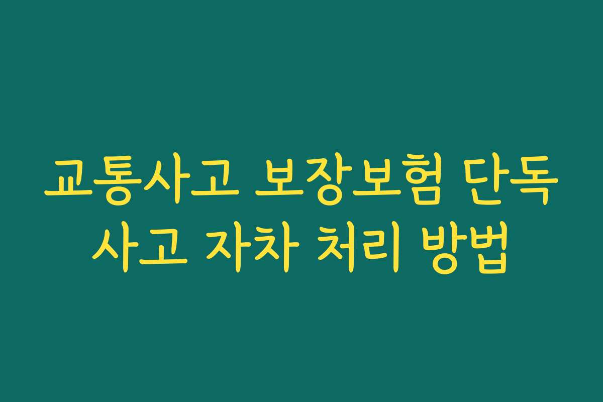 교통사고 보장보험 단독사고 자차 처리 방법