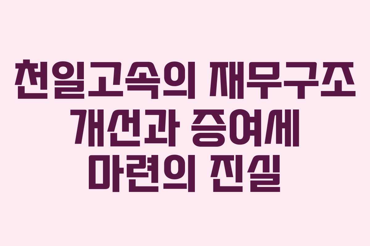 천일고속의 재무구조 개선과 증여세 마련의 진실