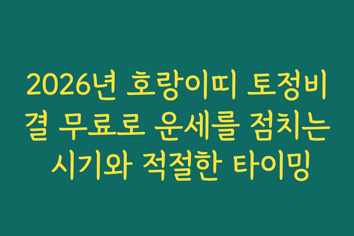 2026년 호랑이띠 토정비결 무료로 운세를 점치는 시기와 적절한 타이밍