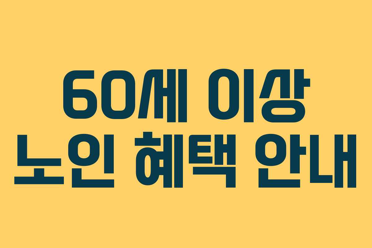 60세 이상 노인 혜택 안내