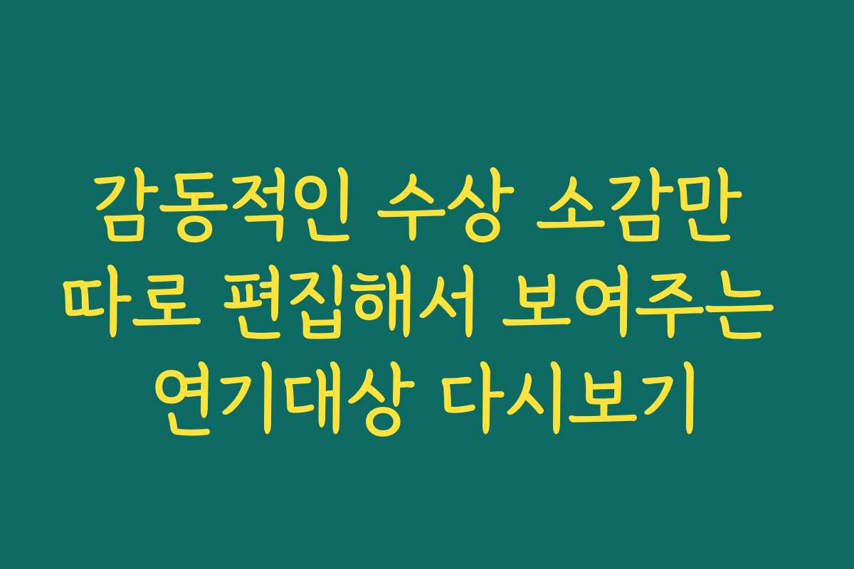 감동적인 수상 소감만 따로 편집해서 보여주는 연기대상 다시보기
