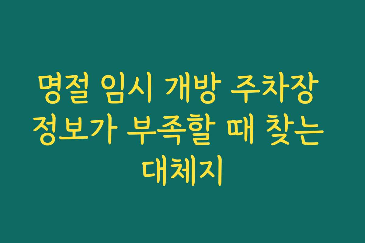 명절 임시 개방 주차장 정보가 부족할 때 찾는 대체지
