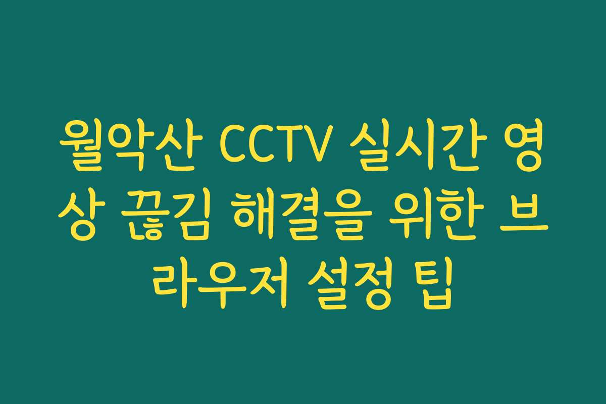 월악산 CCTV 실시간 영상 끊김 해결을 위한 브라우저 설정 팁