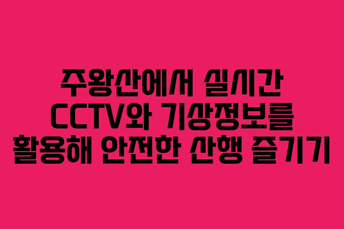 주왕산에서 실시간 CCTV와 기상정보를 활용해 안전한 산행 즐기기