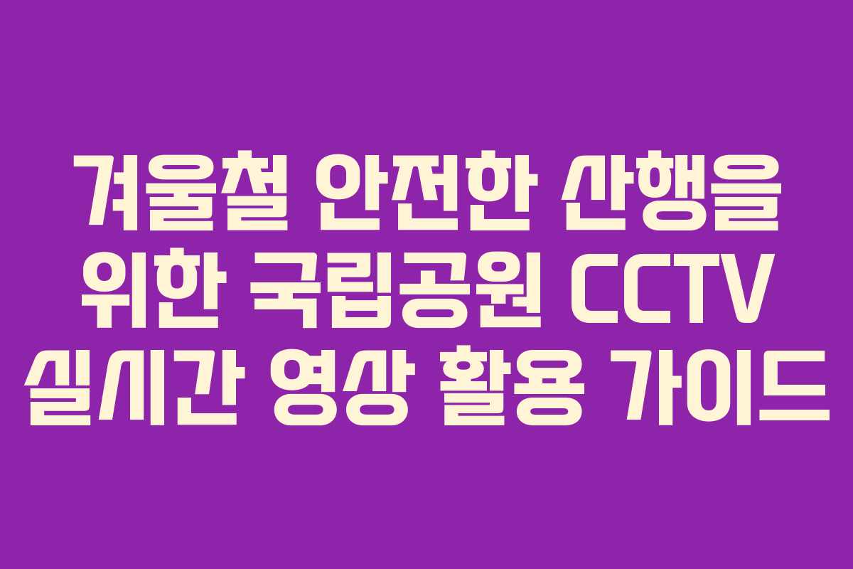 겨울철 안전한 산행을 위한 국립공원 CCTV 실시간 영상 활용 가이드