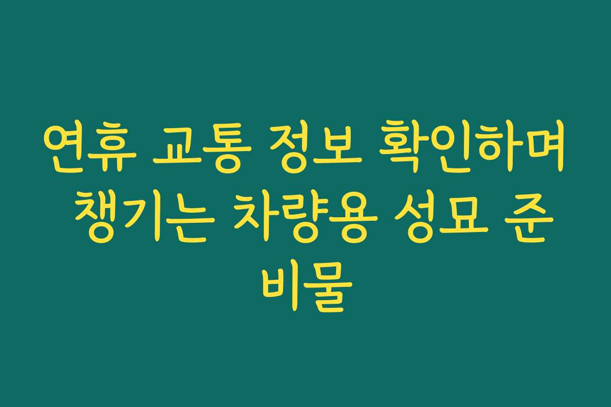 연휴 교통 정보 확인하며 챙기는 차량용 성묘 준비물