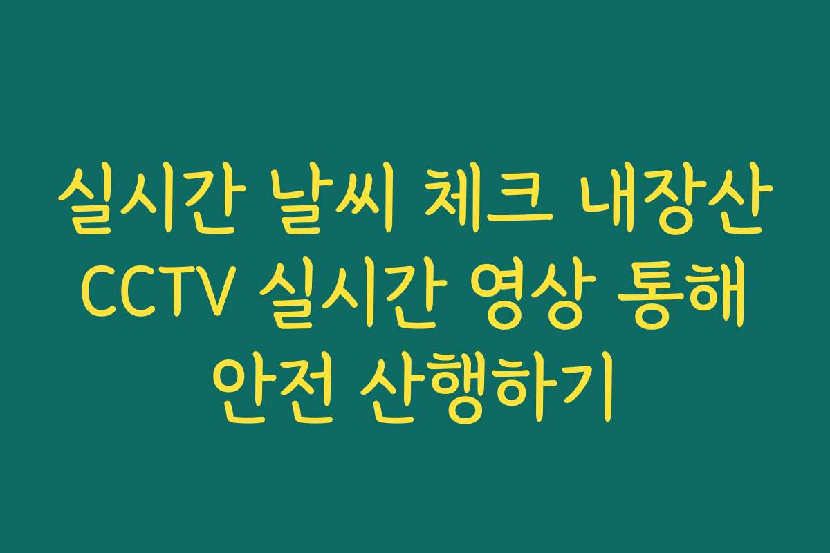 실시간 날씨 체크 내장산 CCTV 실시간 영상 통해 안전 산행하기