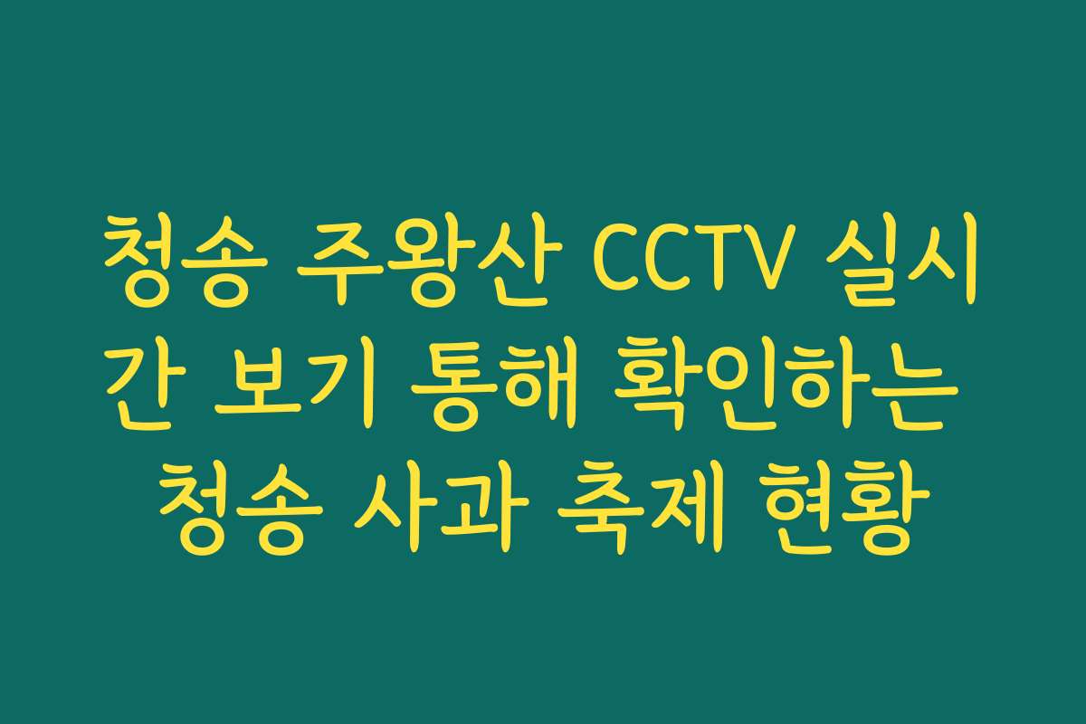 청송 주왕산 CCTV 실시간 보기 통해 확인하는 청송 사과 축제 현황