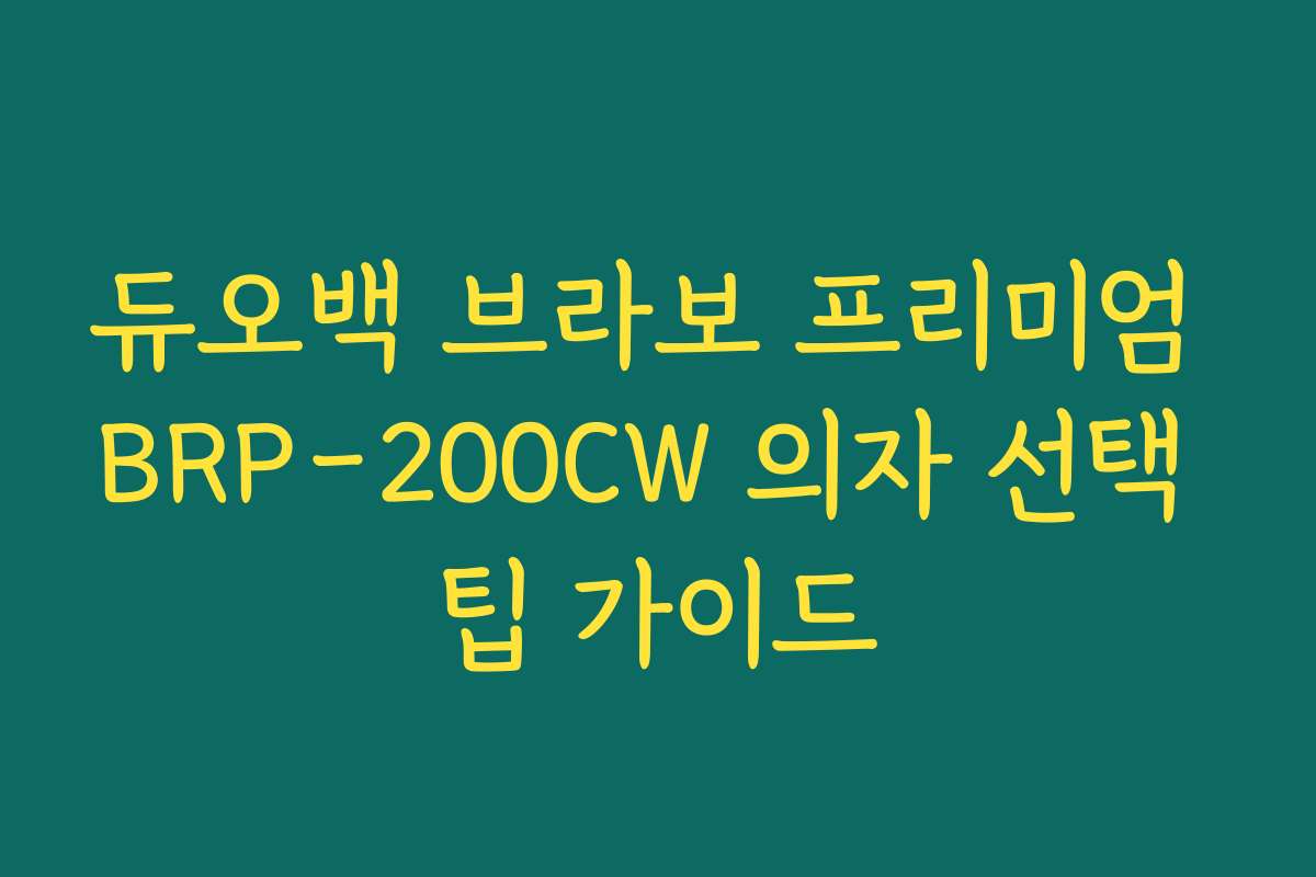 듀오백 브라보 프리미엄 BRP-200CW 의자 선택 팁 가이드