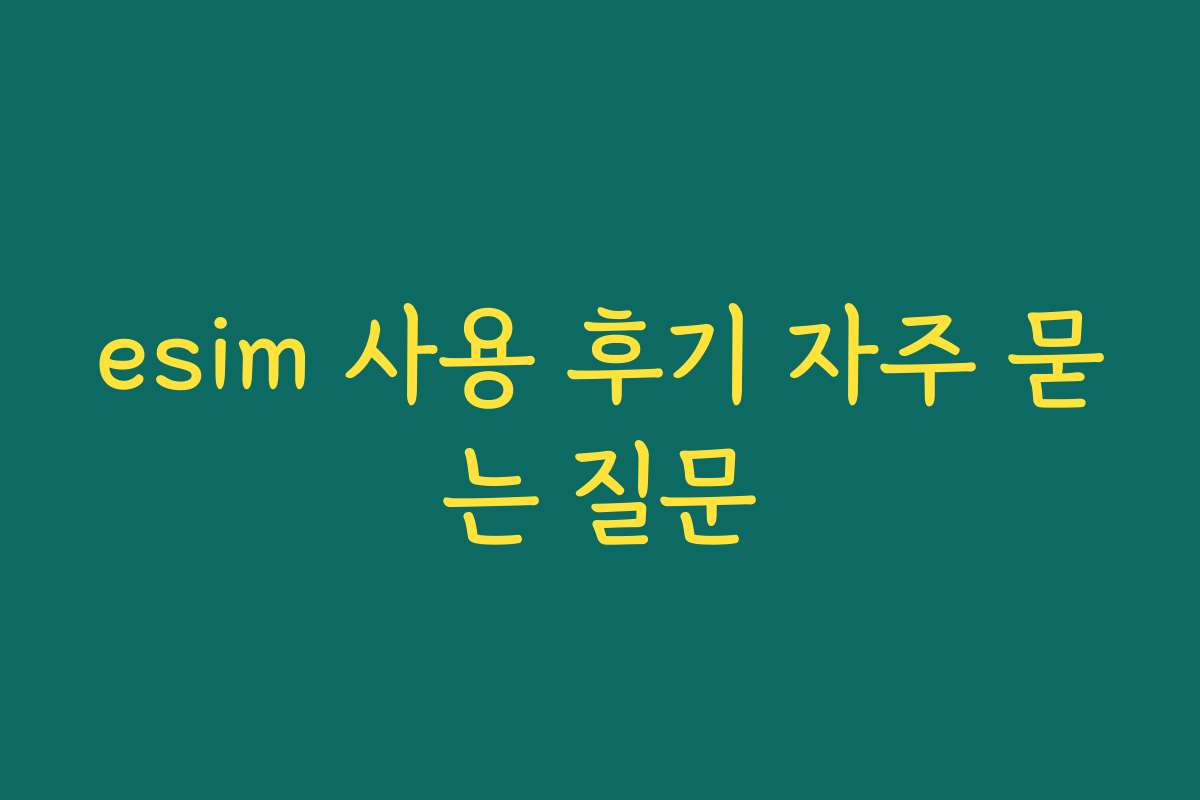 esim 사용 후기 자주 묻는 질문