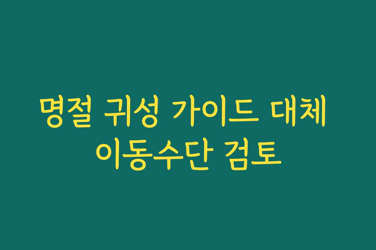 명절 귀성 가이드 대체 이동수단 검토