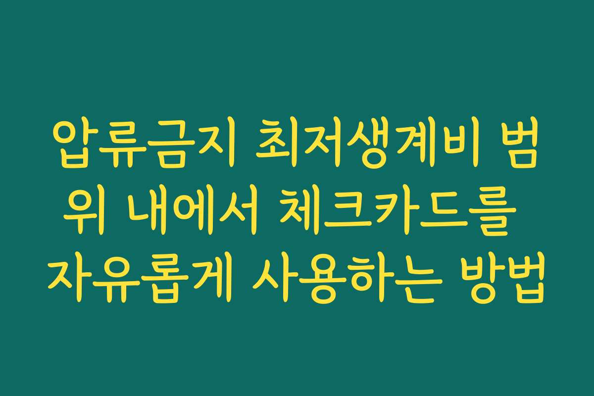 압류금지 최저생계비 범위 내에서 체크카드를 자유롭게 사용하는 방법