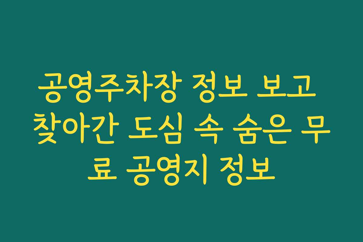 공영주차장 정보 보고 찾아간 도심 속 숨은 무료 공영지 정보
