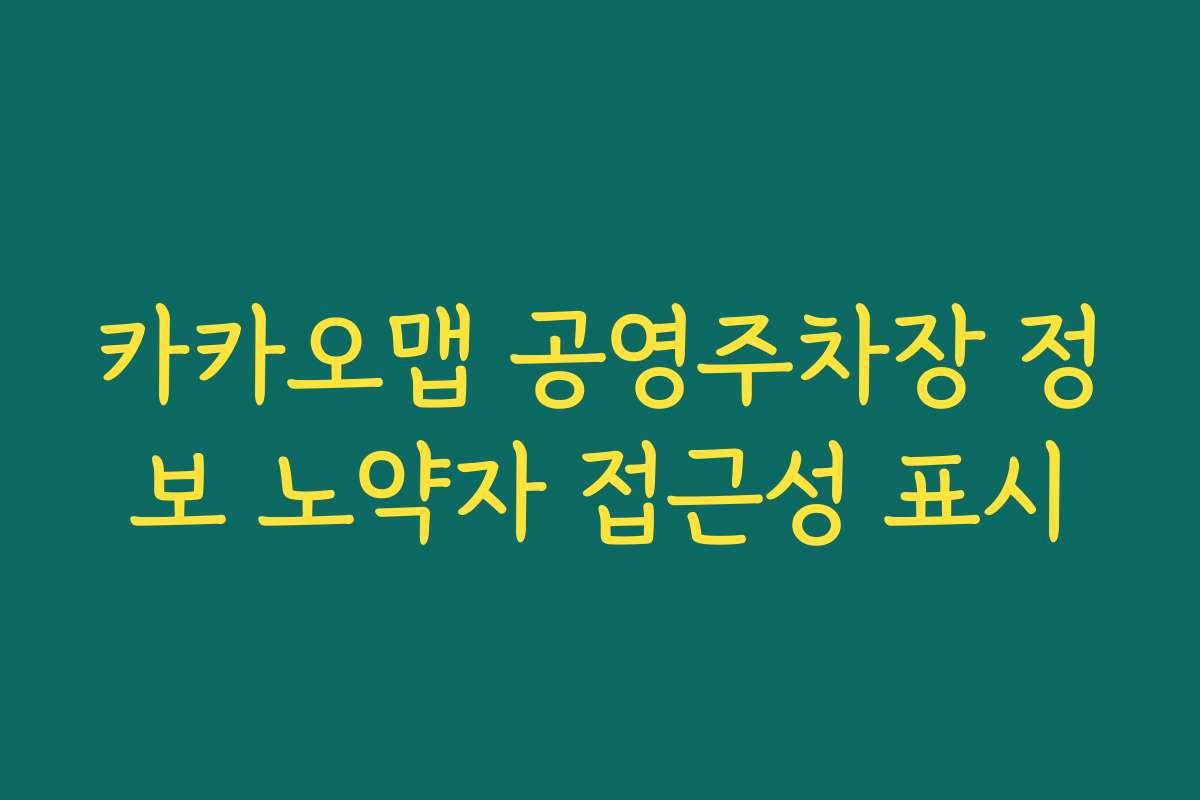 카카오맵 공영주차장 정보 노약자 접근성 표시