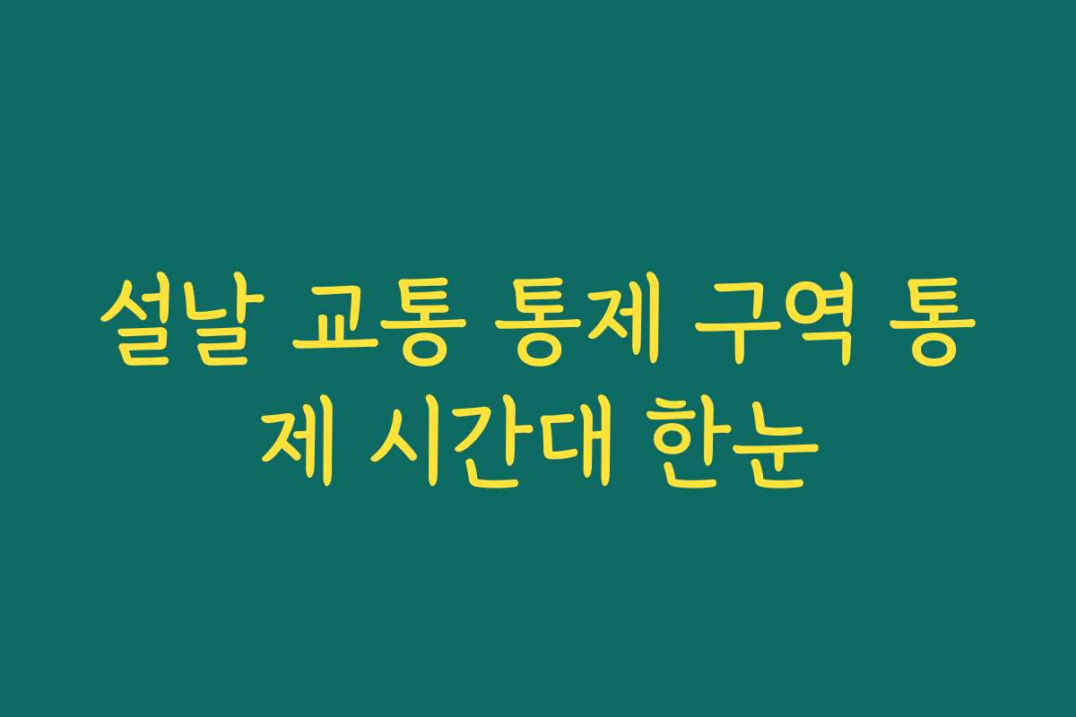 설날 교통 통제 구역 통제 시간대 한눈