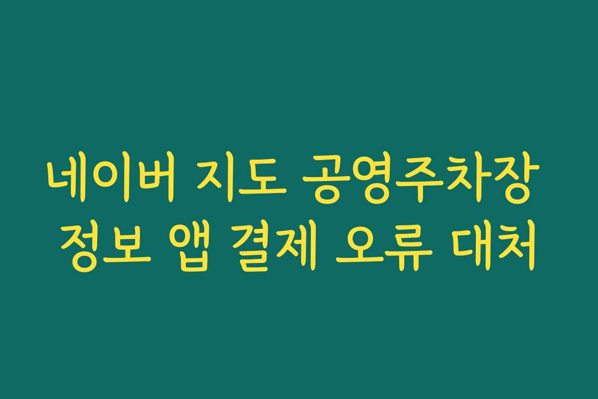 네이버 지도 공영주차장 정보 앱 결제 오류 대처