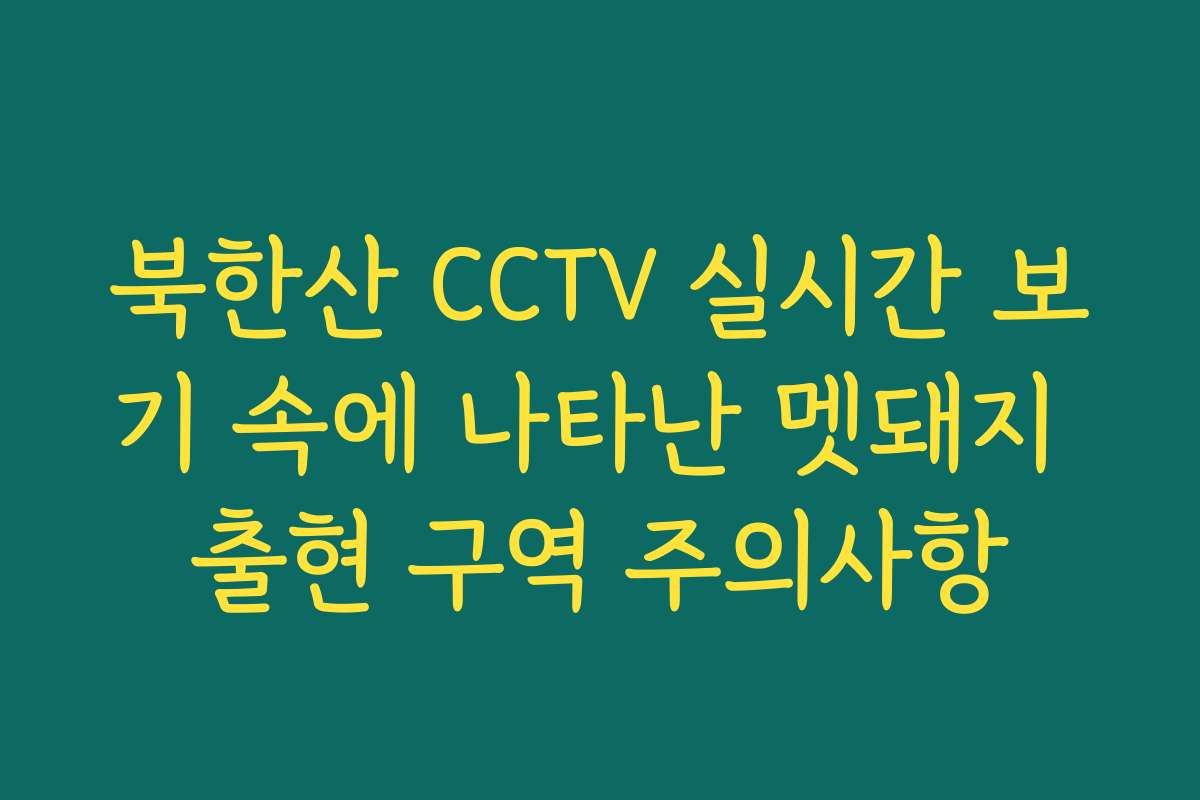 북한산 CCTV 실시간 보기 속에 나타난 멧돼지 출현 구역 주의사항