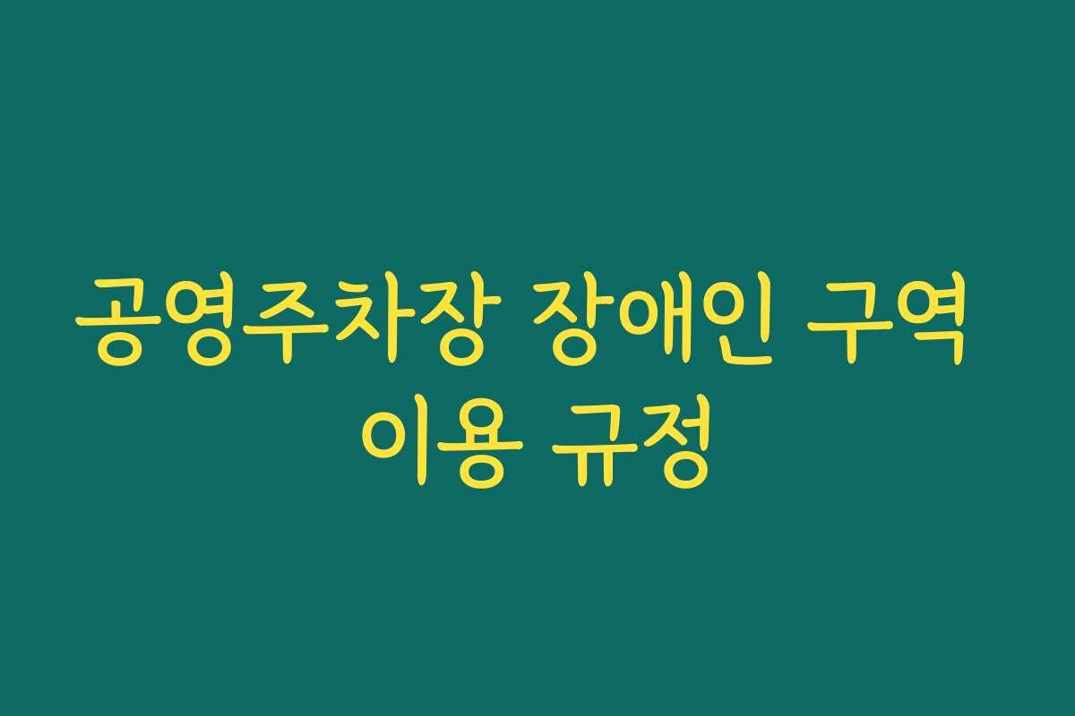 공영주차장 장애인 구역 이용 규정