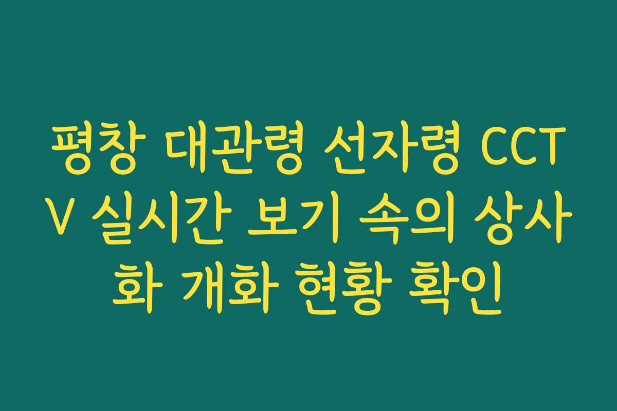 평창 대관령 선자령 CCTV 실시간 보기 속의 상사화 개화 현황 확인
