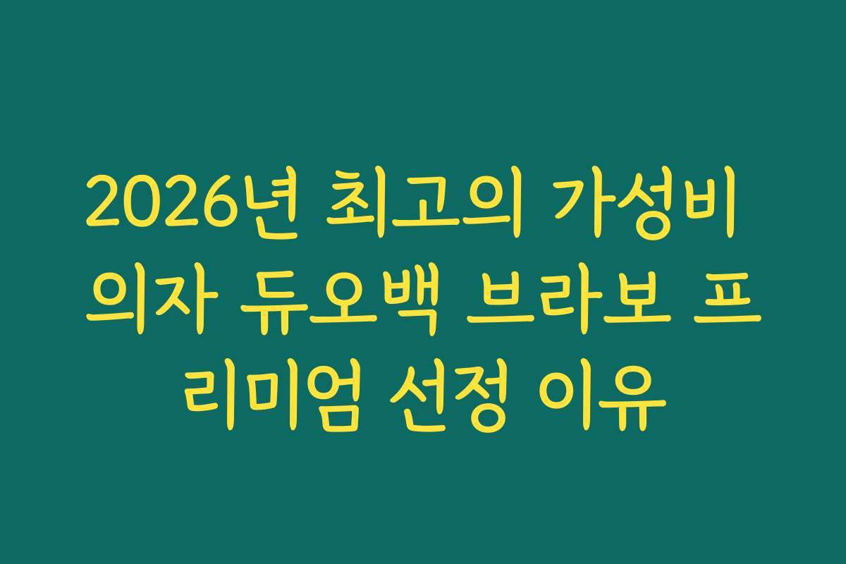 2026년 최고의 가성비 의자 듀오백 브라보 프리미엄 선정 이유