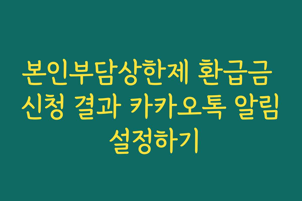 본인부담상한제 환급금 신청 결과 카카오톡 알림 설정하기